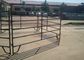 Low Carbon Steel Cattle Fence Panels 1.8m High With Square / Oval / Round Tube