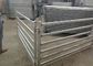 Custom Size Galvanized Livestock Fence Panels For Goat / Sheep / Alpaca