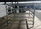 Normal Size Horse Round Pen Panels ,  Hot Dip Galvanised Arena Corral Panels