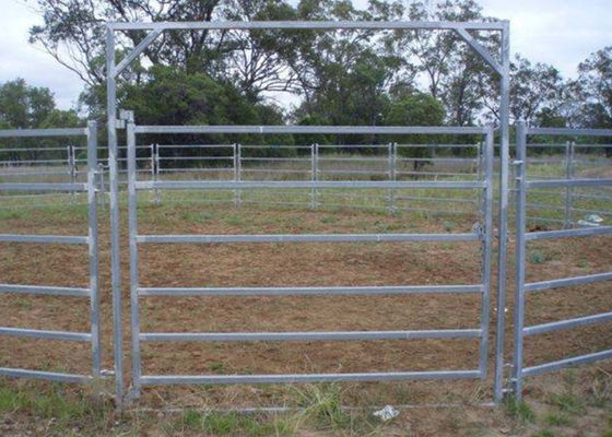 Australia Standard 6 stalowych płotów dla bydła 40x80 Metalowe panele ogrodzeniowe dla bydła